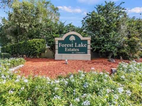 40940 Rosselle Loop, Zephyrhills, FL 33540