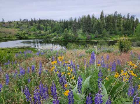 84 Wannucut Lake Rd, Tonasket, WA 98855