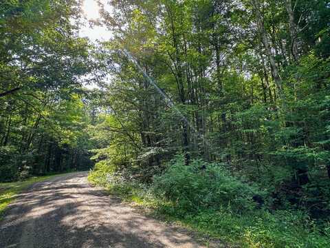 VL Lot 1 Gas Springs Rd, Canaseraga, NY 14822