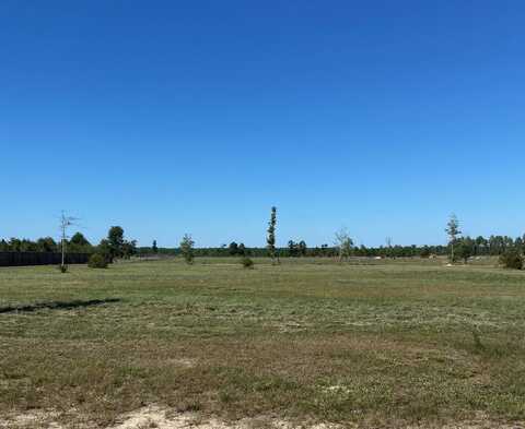 Tract 4 Miller Rd, Dequincy, LA 70633