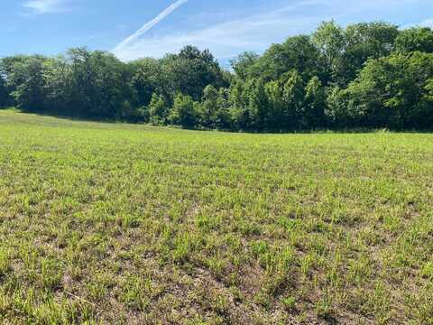 TBD Plot #4/216th Street, Union Star, MO 64494