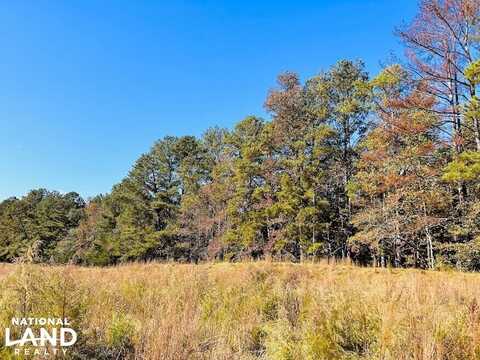 0 County Road 638, Roanoke, AL 36274