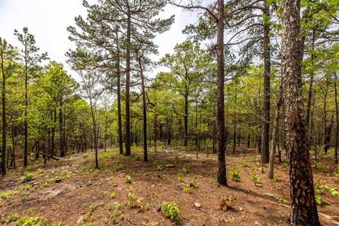 Lot 9 Phase 4 Timber Ridge Estates, Tuskahoma, OK 74574