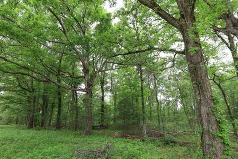 TBD Forest Cemetery Rd., Pioneer, LA 71226