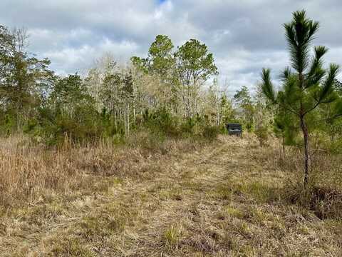 0 Texas Flat Road, Kiln, MS 39556