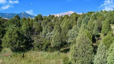 3585 Twisted Oak Circle, Colorado Springs, CO 80904