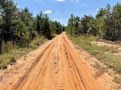 0 Bridlepath Road Lot C, Jackson, AL 36545