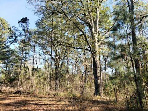 000 County Road 35, Midway, AL 36053