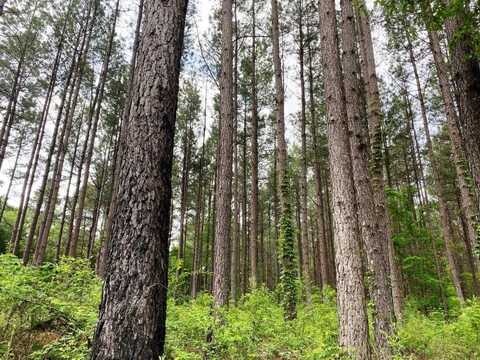 01 Hwy 589, Purvis, MS 39475
