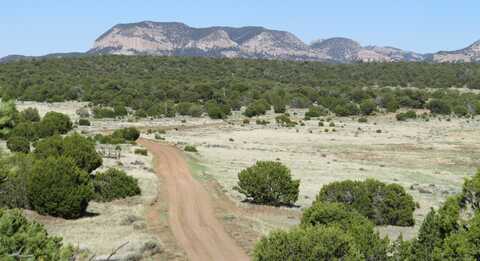 CR 603 & Hwy 60, Pie Town, NM 87827