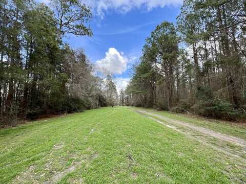 0 County Road 64, Robertsdale, AL 36507