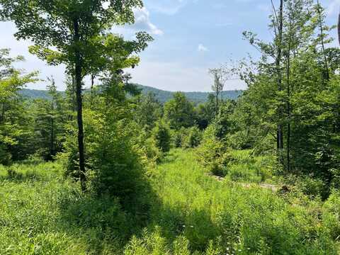 00 Smith Road, Eldred, PA 16731