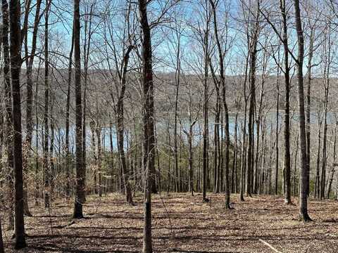 Lot #42 Crescent Ridge Subdivision, Albany, KY 42602