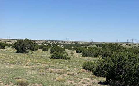 92 Northern Rd, Quemado, NM 87829