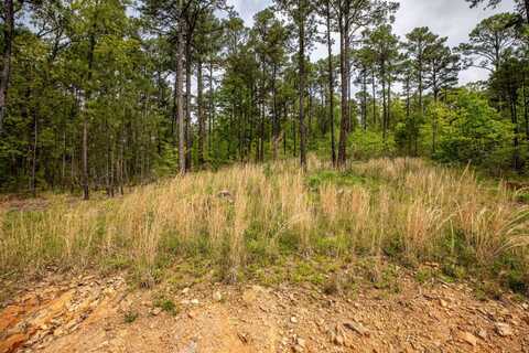 Lot 18 Phase 1 Timber Ridge Estates, Tuskahoma, OK 74574