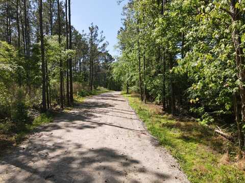 3828 Standing Pine LAne, Zebulon, NC 27597