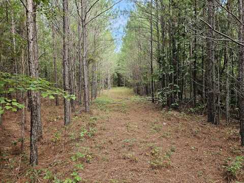 Tract 3 0 County Road 83, Brilliant, AL 35584