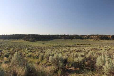 County Road 379, Counselor, NM 87528