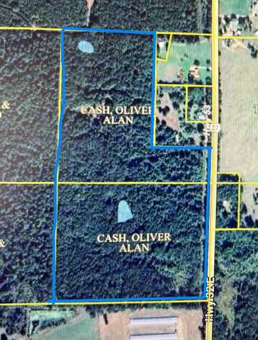 59.26 AC Hwy 53, Bodcaw, AR 71858