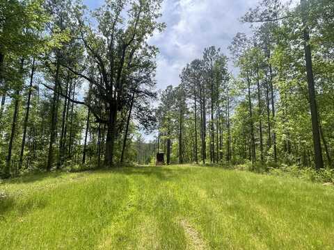 0 Smoketree Road, Northport, AL 35475