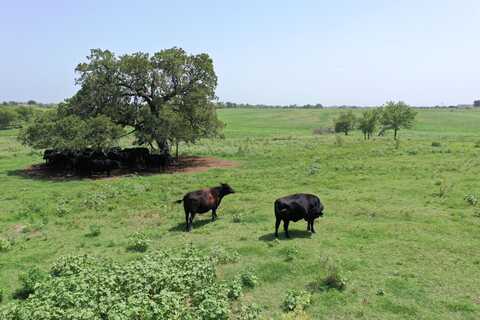 0 CR 4055, Kemp, TX 75143