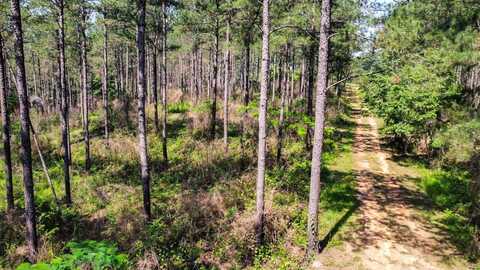 0 Smith County Rd 129, Raleigh, MS 39153