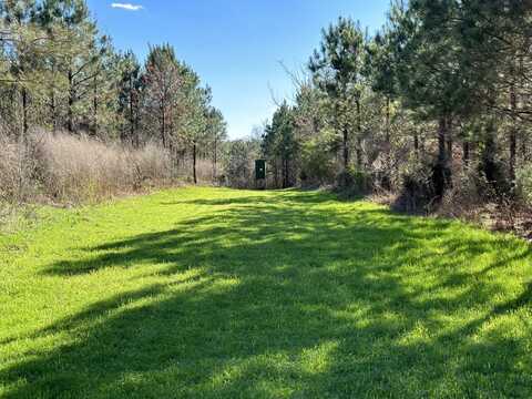 0 Co Rd 96, Millport, AL 35576