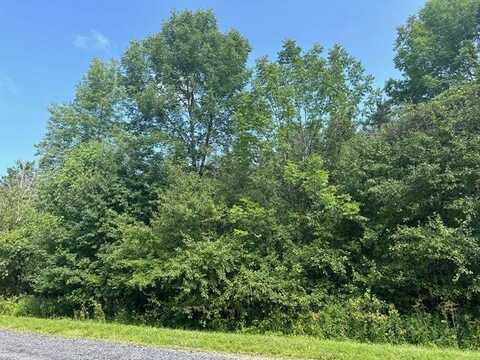 25 Acres Louis Ridge Road, #46,47,48, Herkimer, NY 13350