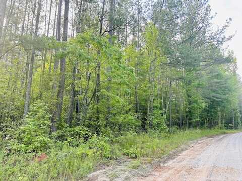 0 Springer Road Tract A, Whitesburg, GA 30185