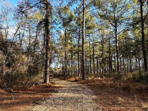 217 N. Slade Road, Sumrall, MS 39482