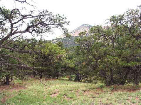 00 Lookout Circle, Datil, NM 87821