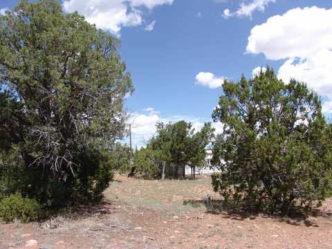 64 Wagon Trail, Datil, NM 87821