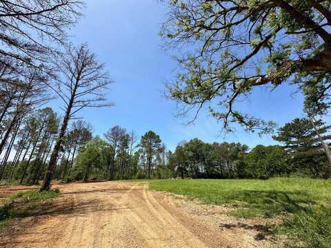 3 Boyd Rd, Canton, MS 39046