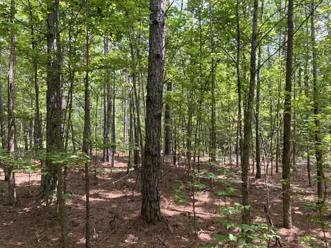 1423 Co Hwy 25, Hamilton, AL 35570
