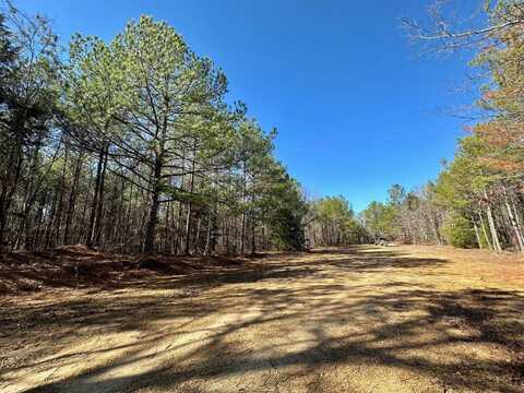 1 Levi Cooper Rd, Florence, MS 39073