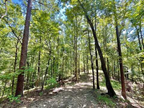 0 Mimosa Rd., Leeds, AL 35094