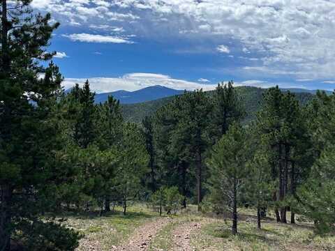 0 10-TC7 Rd, Idaho Springs, CO 80452