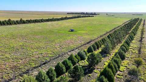 TBD County Road 78, Peetz, CO 80747