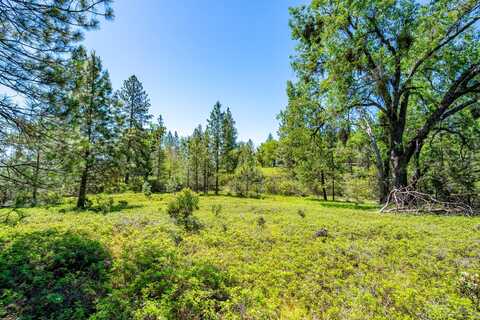 17050 Alicia Drive, Pioneer, CA 95666