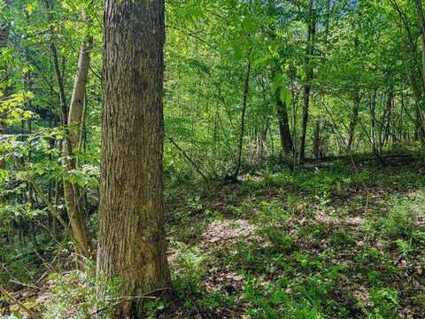 3372 Dinkenberger Road, Kingwood, WV 26537