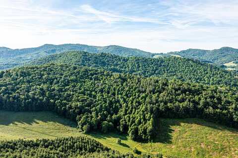 0 New Hope Church Rd, Laurel Springs, NC 28644