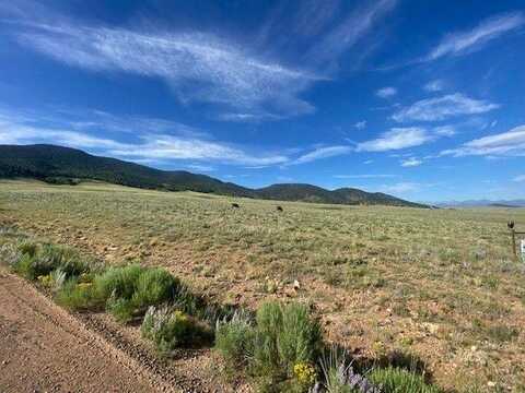 TBD Eagles Gate Road, Westcliffe, CO 81252