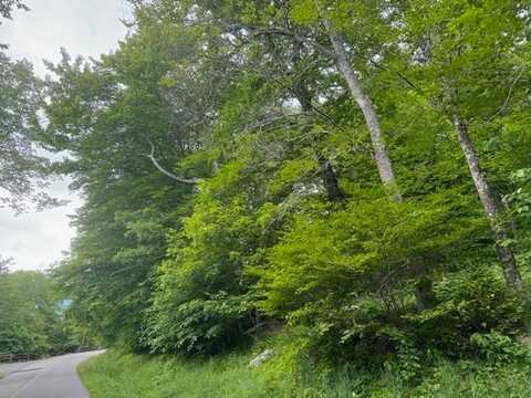 tbd Shelter Rock Circle, Sugar Mountain, NC 28604