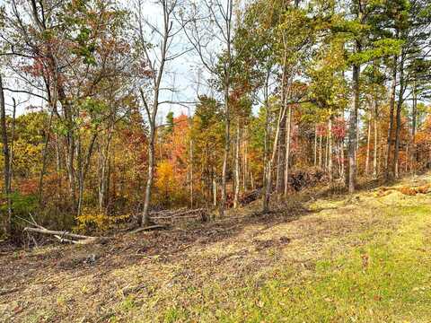 0 Fisher Ridge Rd Tract 1, Fleming, OH 45729