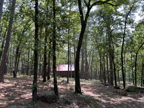 493 Kiamichi Wilderness, Moyers, OK 74557