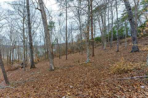 Lot 139 Islandview Circle, Sharps Chapel, TN 37866