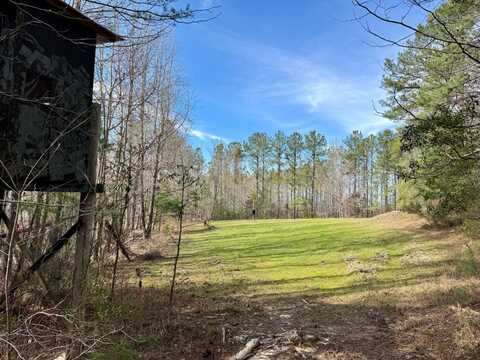 0 Pleasant Hill Road, Thomasville, AL 36784