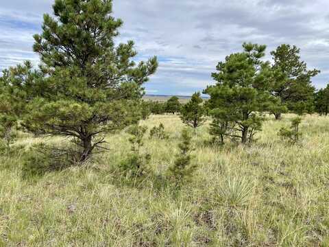 31963 Ridge Road, Ramah, CO 80832