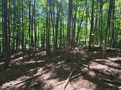 0WP Ridge Rd, Otselic, NY 13464