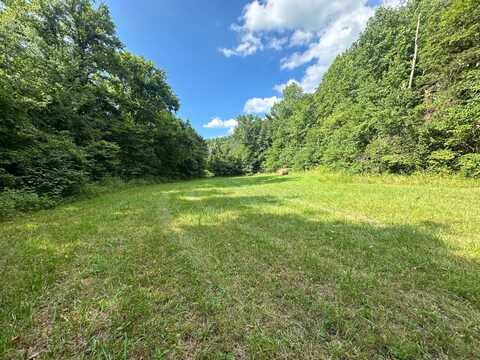 9 Long Hollow Acres, Burkesville, KY 42717